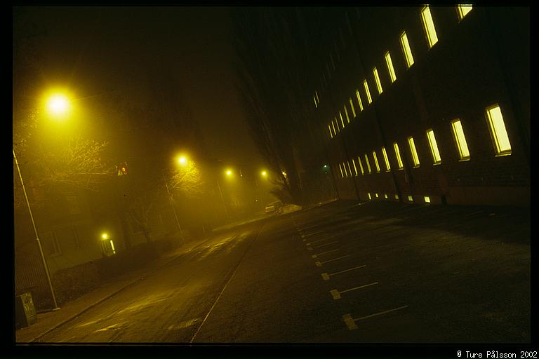 The street outside where I live. Parking meter used as camera support.