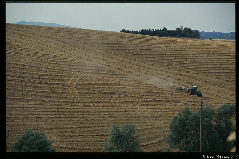 Tractor in field