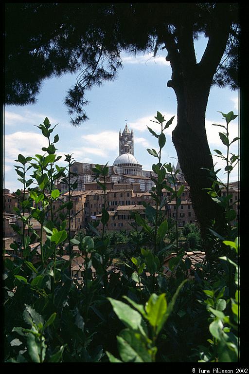 Siena view