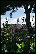 Siena view