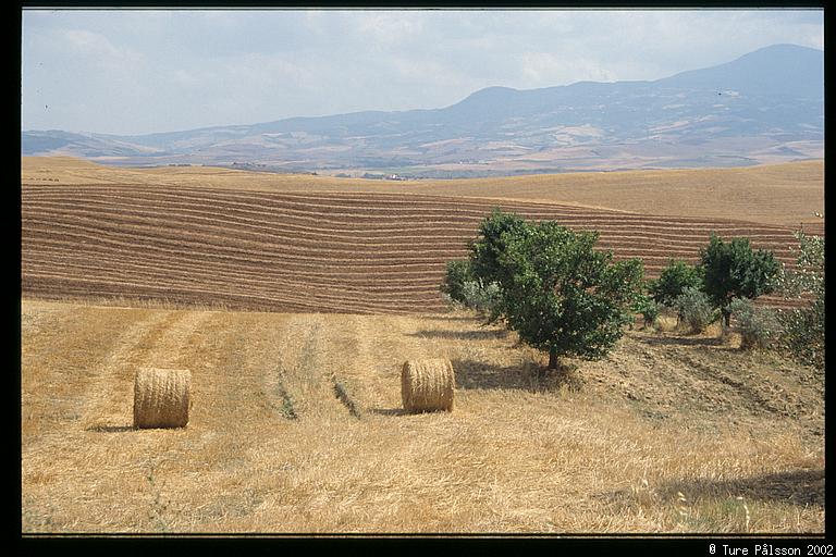 Fields, Val d'Orcia