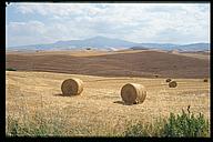 Straw rolls, Val d'Orcia