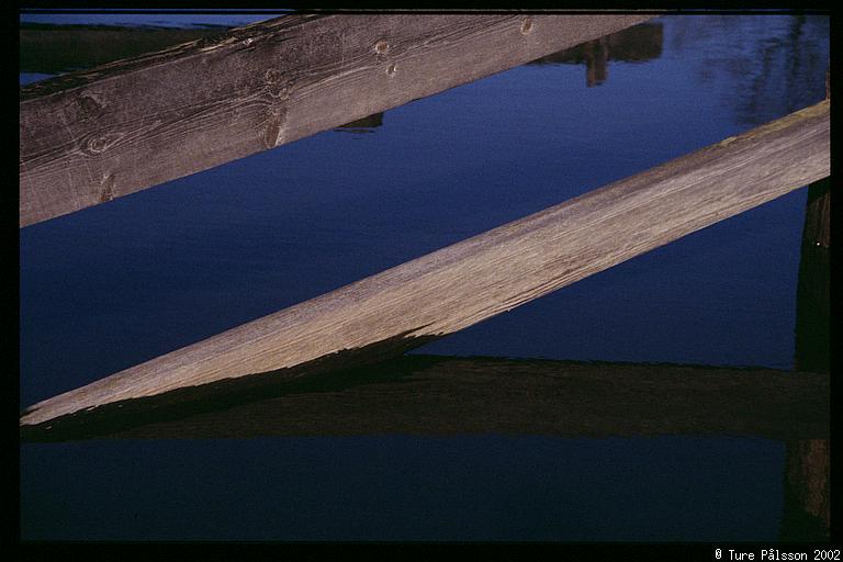 Reflections in water