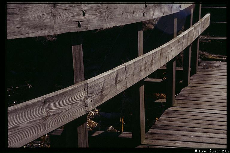 Wooden bridge