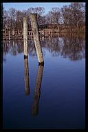 Reflections in water