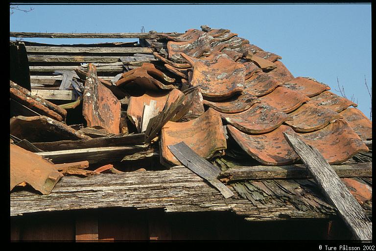 Ruin roof