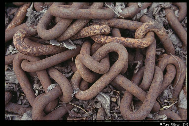 Rusty steel chain, Tornby