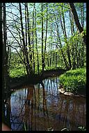 The stream, Stjärnorp