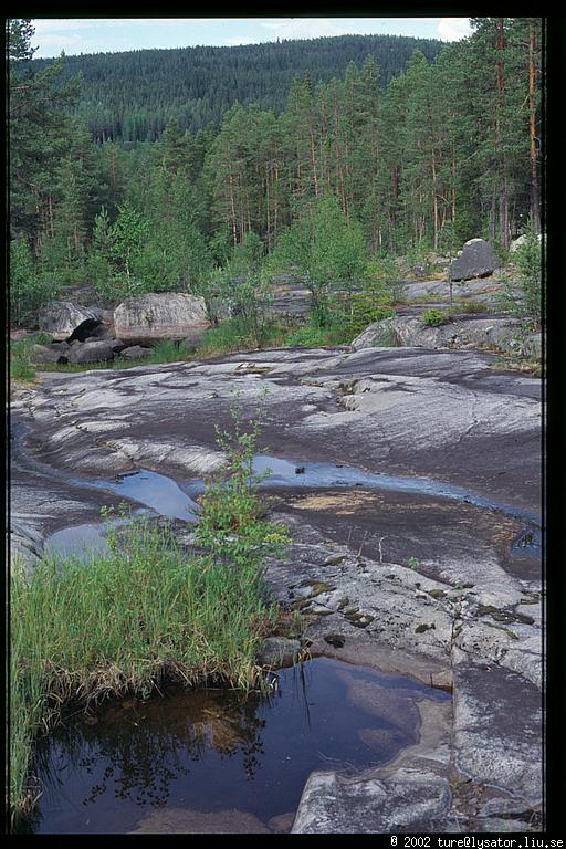 Dead fall, Storforsen