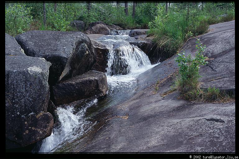 Stream in the dead fall, Storforsen