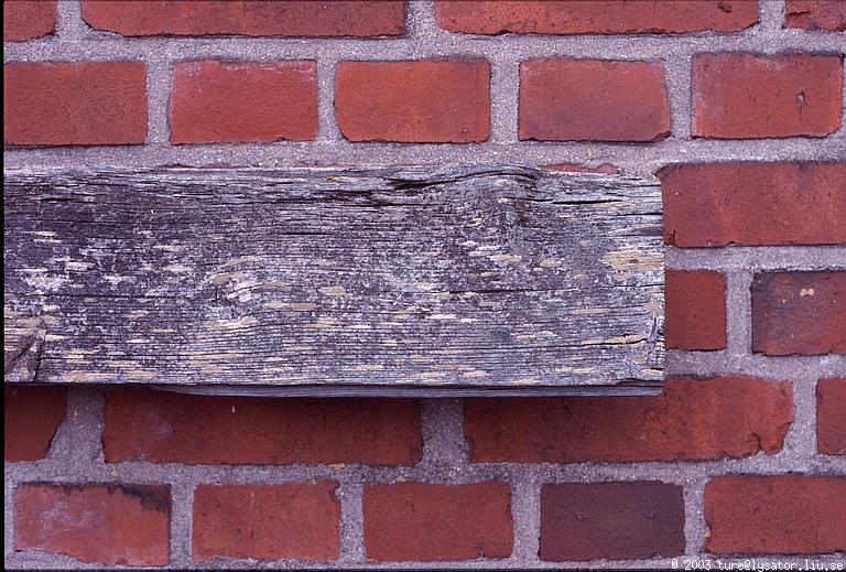 Old wood and brick wall, old transformer station(?)