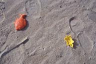 Plastic toys on the beach