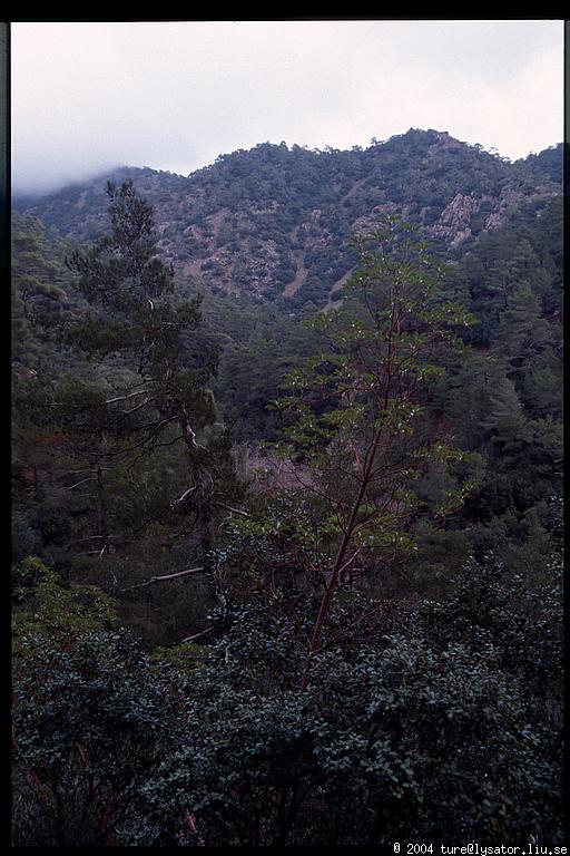 Troodos